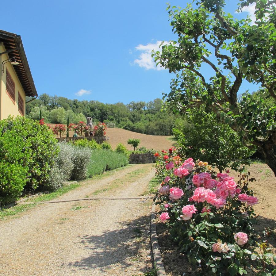 Agriturismo Podere Filicaia Σαν Τζοβάνι Βαλντάρνο Εξωτερικό φωτογραφία