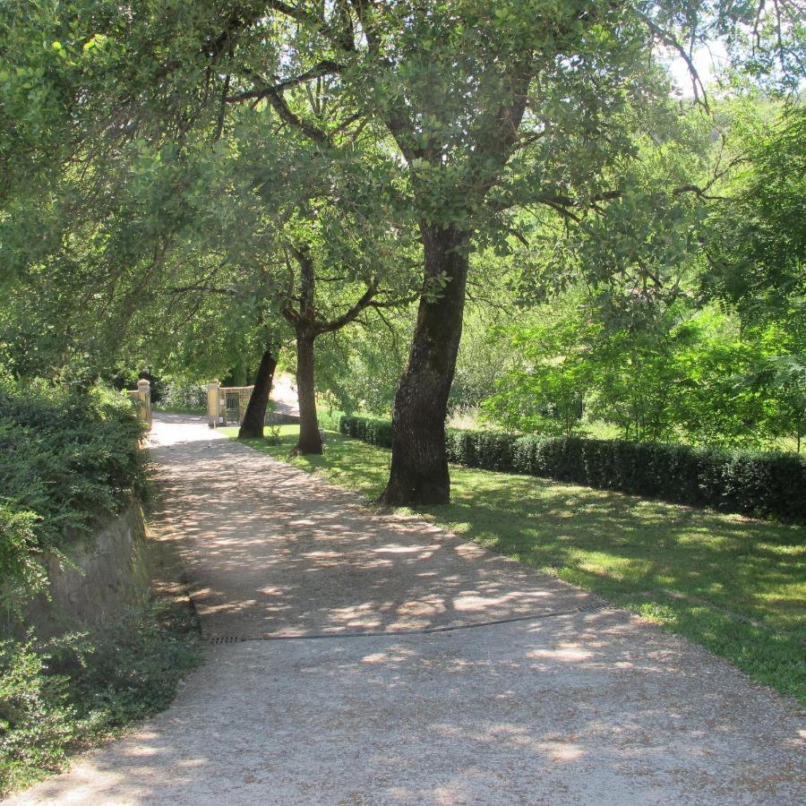 Agriturismo Podere Filicaia Σαν Τζοβάνι Βαλντάρνο Εξωτερικό φωτογραφία
