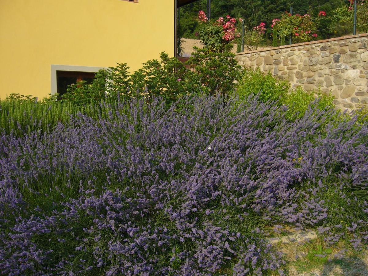 Agriturismo Podere Filicaia Σαν Τζοβάνι Βαλντάρνο Εξωτερικό φωτογραφία