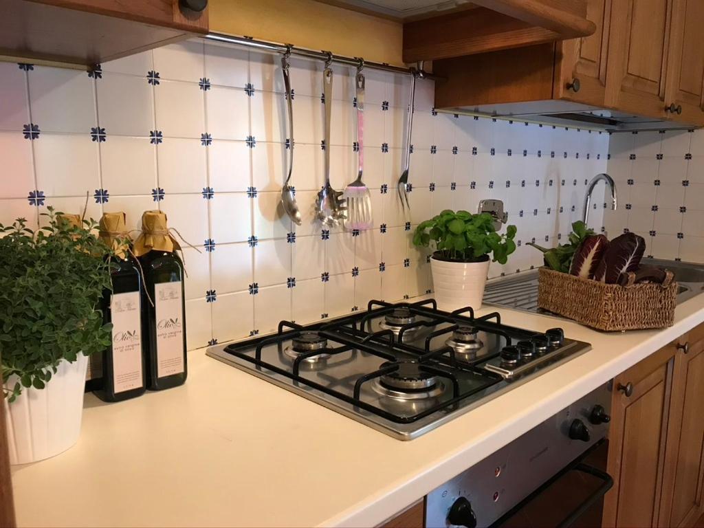 Agriturismo Podere Filicaia Σαν Τζοβάνι Βαλντάρνο Εξωτερικό φωτογραφία